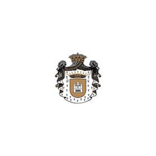 Logo escudo